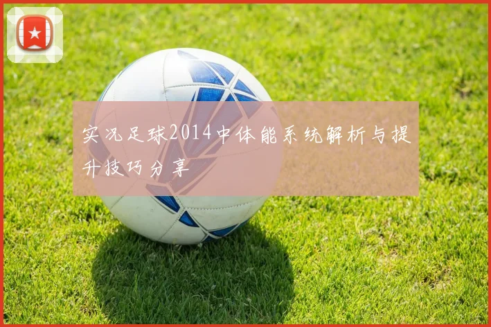 实况足球2014中体能系统解析与提升技巧分享