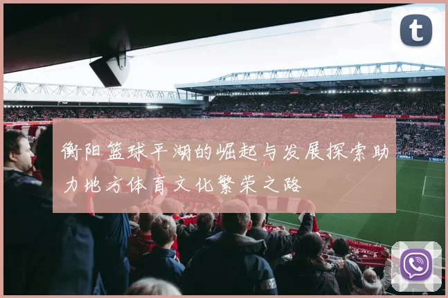 衡阳篮球平湖的崛起与发展探索助力地方体育文化繁荣之路