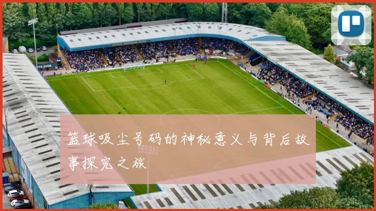 篮球吸尘号码的神秘意义与背后故事探究之旅