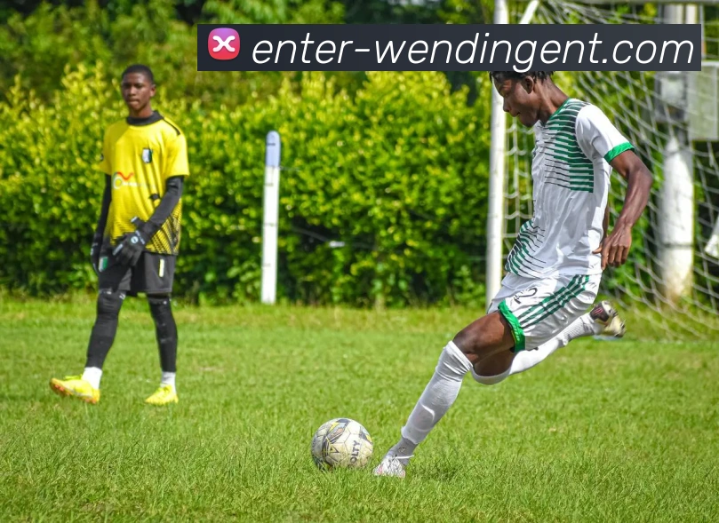 WENDING平台生态图